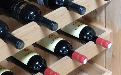 Dégustations de vins: les caves du Chianti